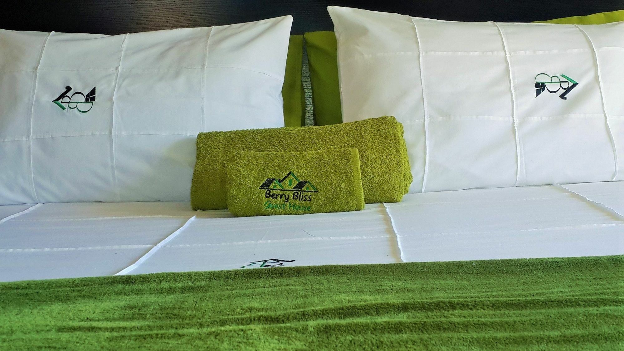 Berry Bliss Guest House Gaborone Extérieur photo
